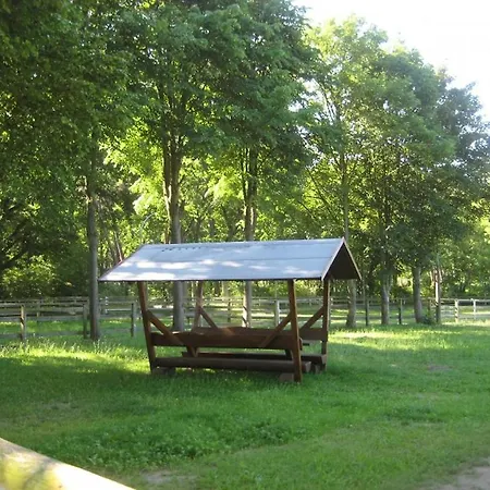 Finnhuette Fisch Wittenbecker Tannen Holiday home Wittenbeck