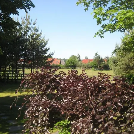 Holiday home Finnhuette Fisch Wittenbecker Tannen